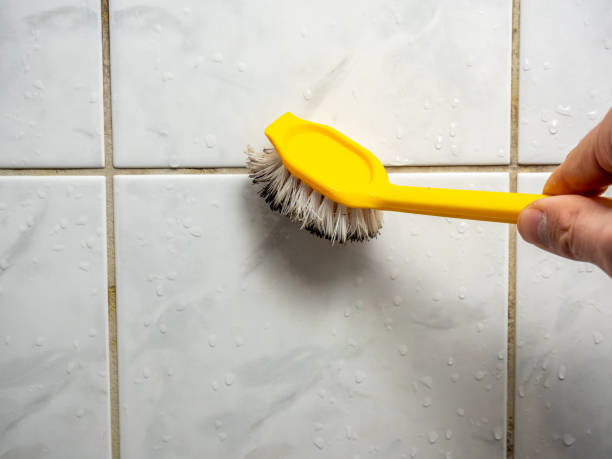 Best Residential Mold Removal  in Wetumka, OK