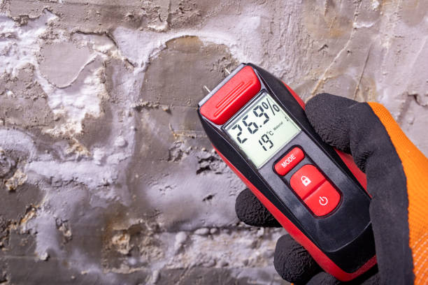 Best Fast Mold Removal  in Wetumka, OK