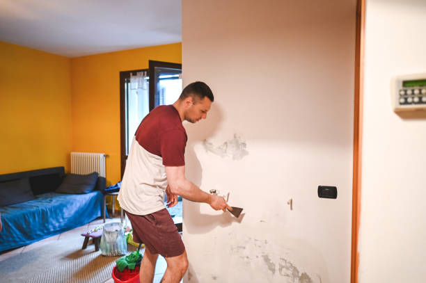 Best Mold Removal Process  in Wetumka, OK